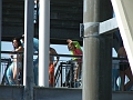 August 2008 054